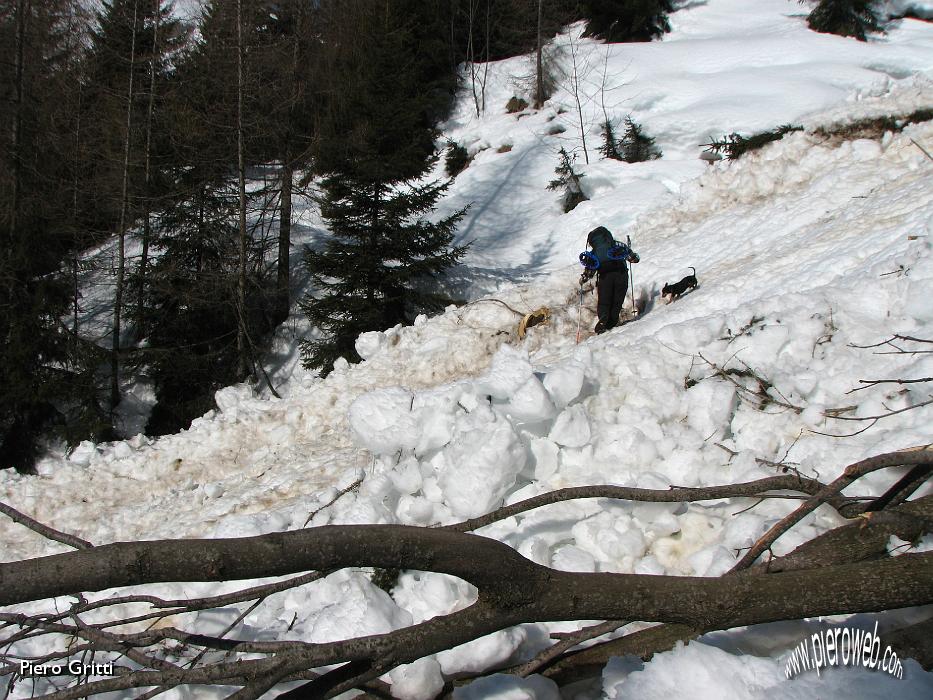 14 Prima valanga in canalone discendente dal Monte Sasna.jpg